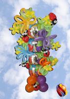 Arrangements 27 - 