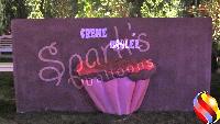 Weddings - 