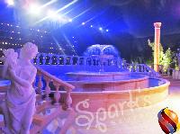 Weddings - 