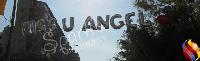 Mylar - 